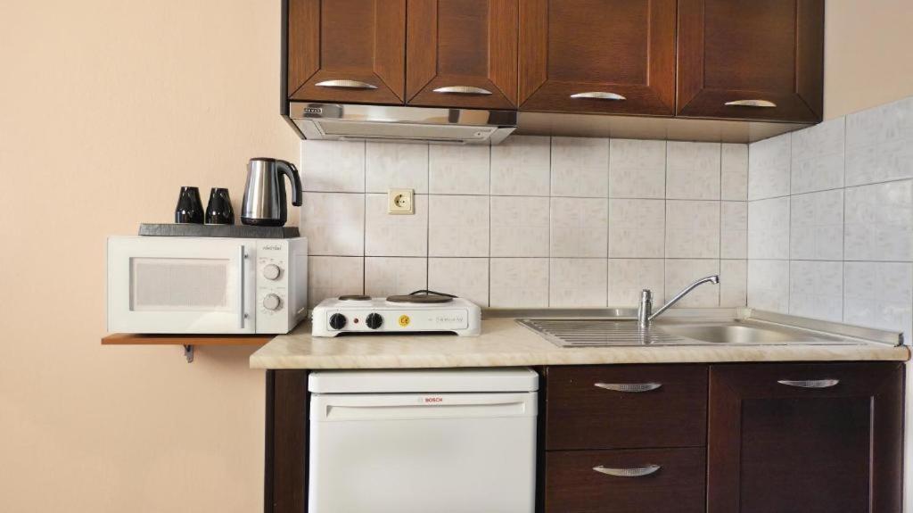 House Chrysoula Mitsokopi Apartment Сарти Екстериор снимка